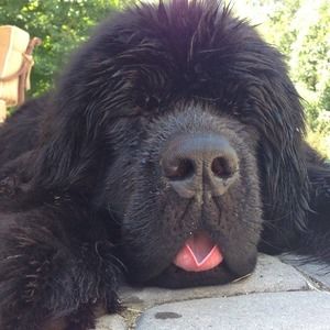 Meet your Posher, Nikki